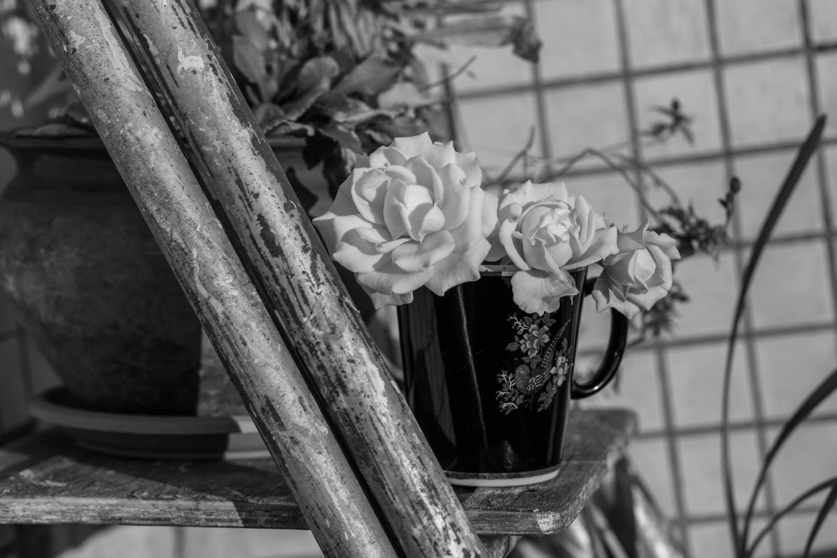 Черно белая Эстетика цветы