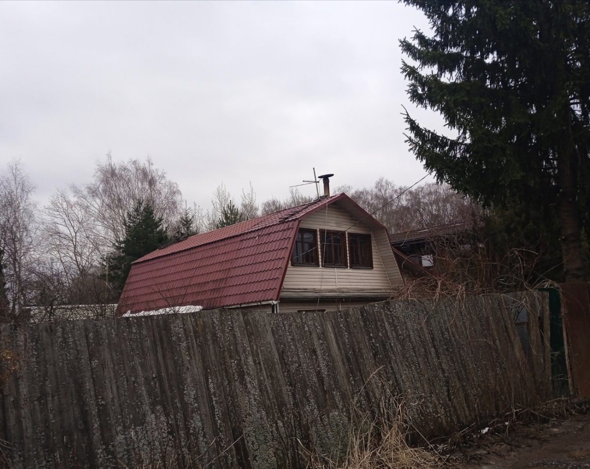 Грядки на дачном участке