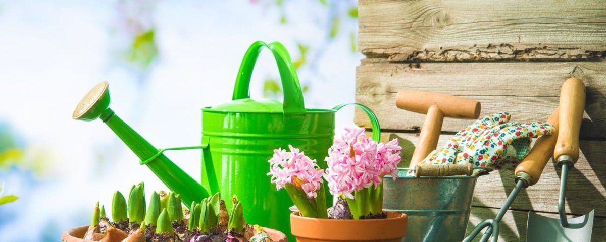 Баннер дача