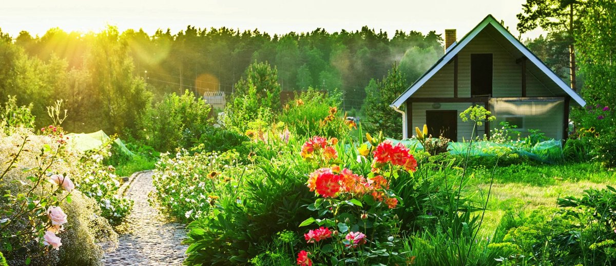 Природа дача