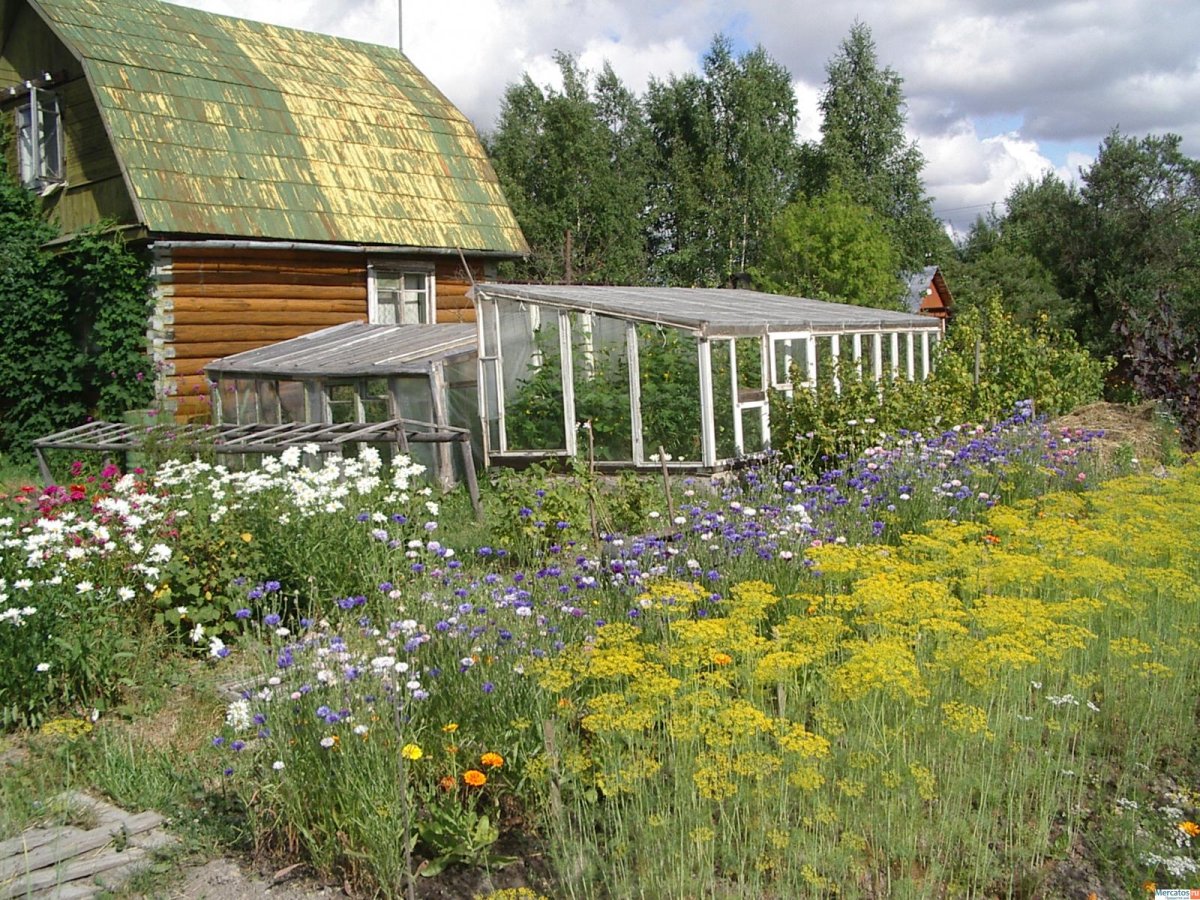 Дача обычная