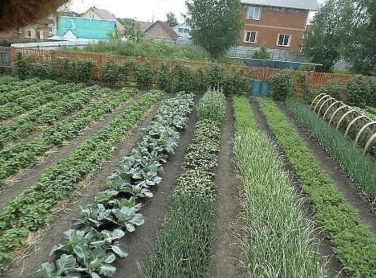 Открытка дачнику