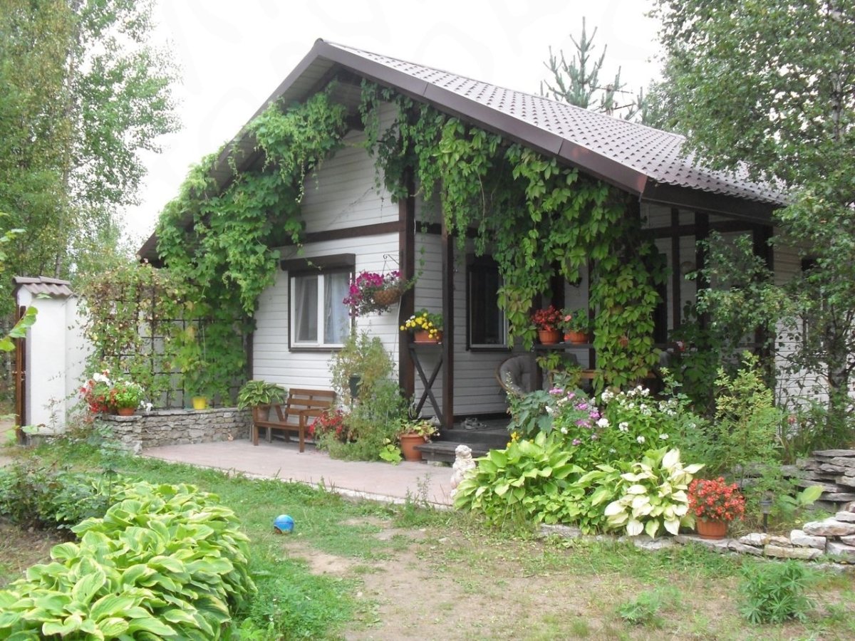 Товары для сада и огорода