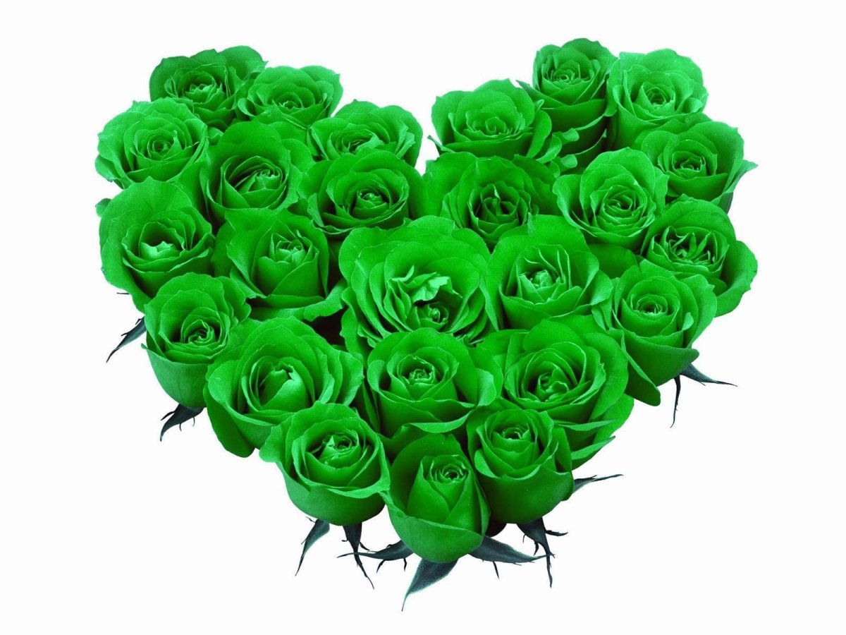 Темно зеленые розы