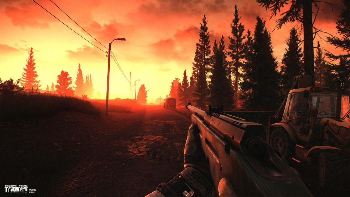 Локация лес EFT