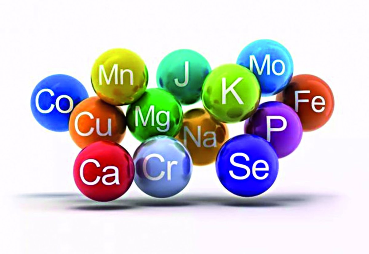 Макроэлементы в организме