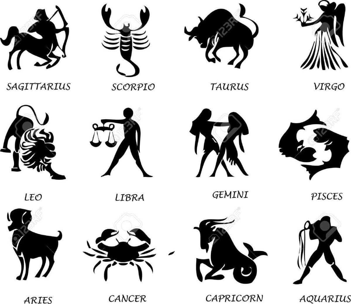 Макет знаки зодиака