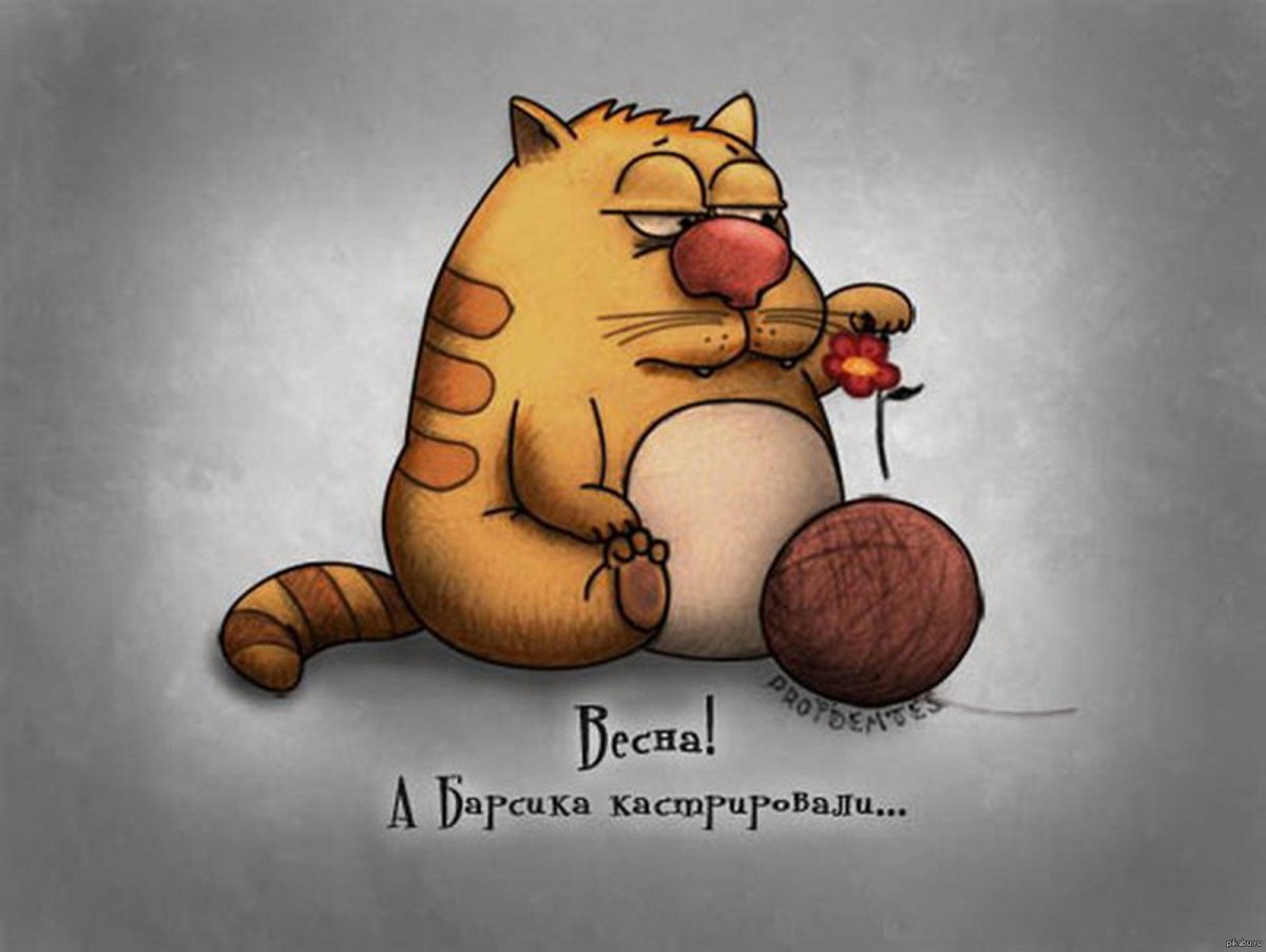 Всё что НК делается к лучшему