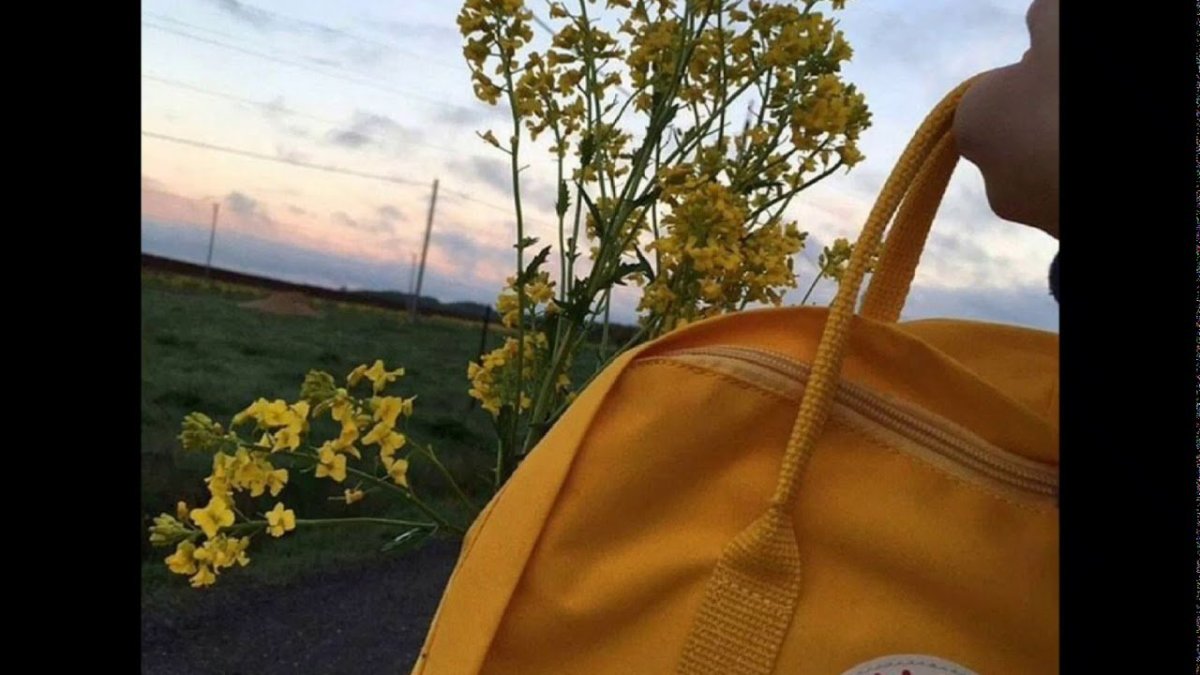 Девушка в жёлтом тумблер