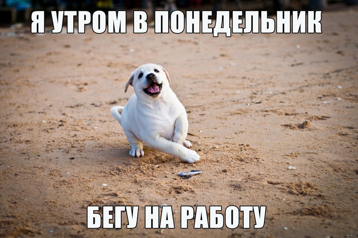 Бегом на работу