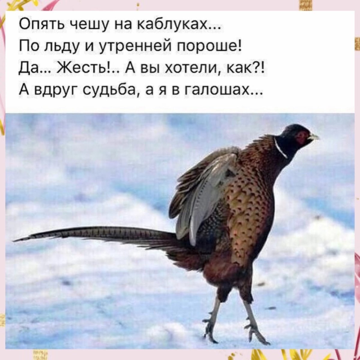 А вдруг судьба а я в галошах