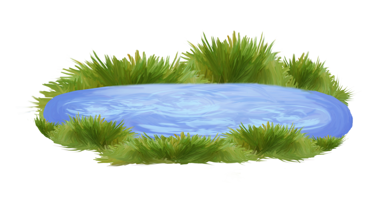 Пруд на прозрачном фоне