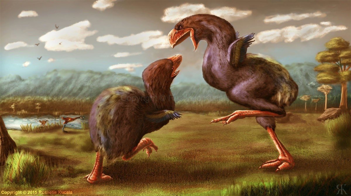 Юрский период Археоптерикс