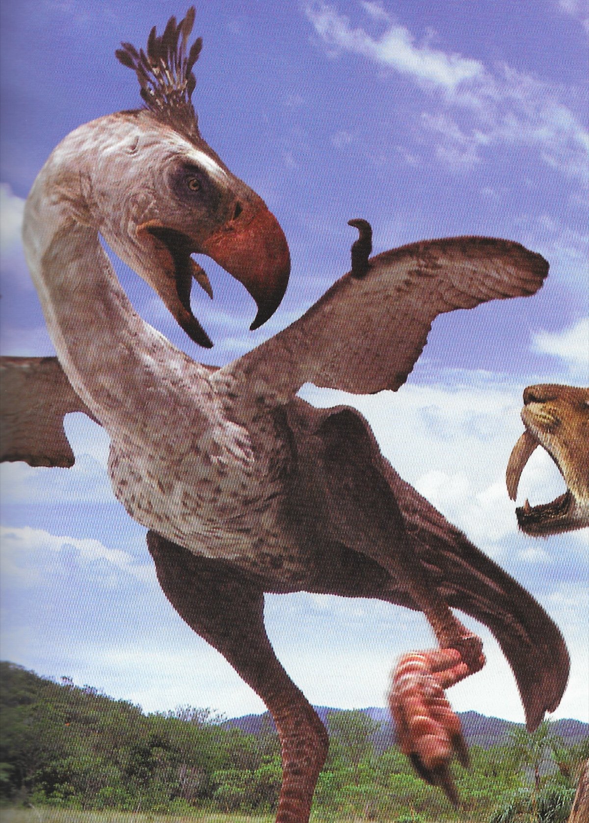 Веерохвостые птицы палеоген