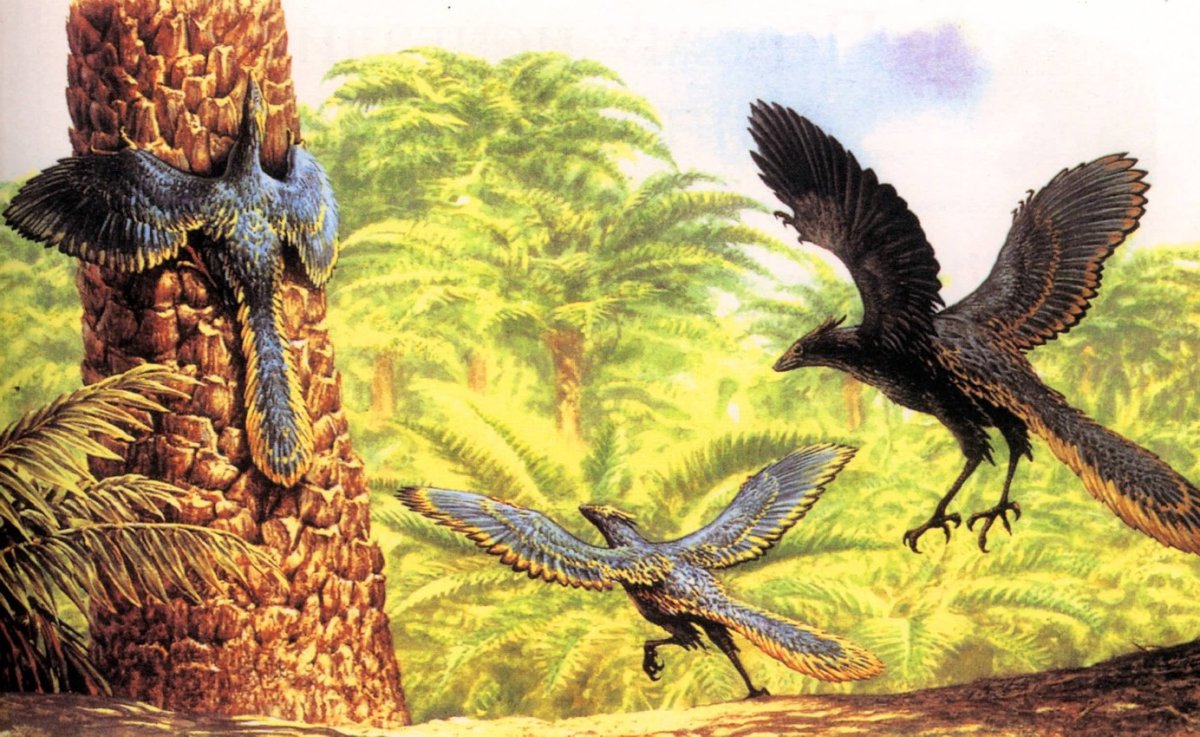 Фороракос динозавр