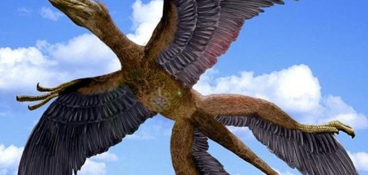 Маврикийский Дронт