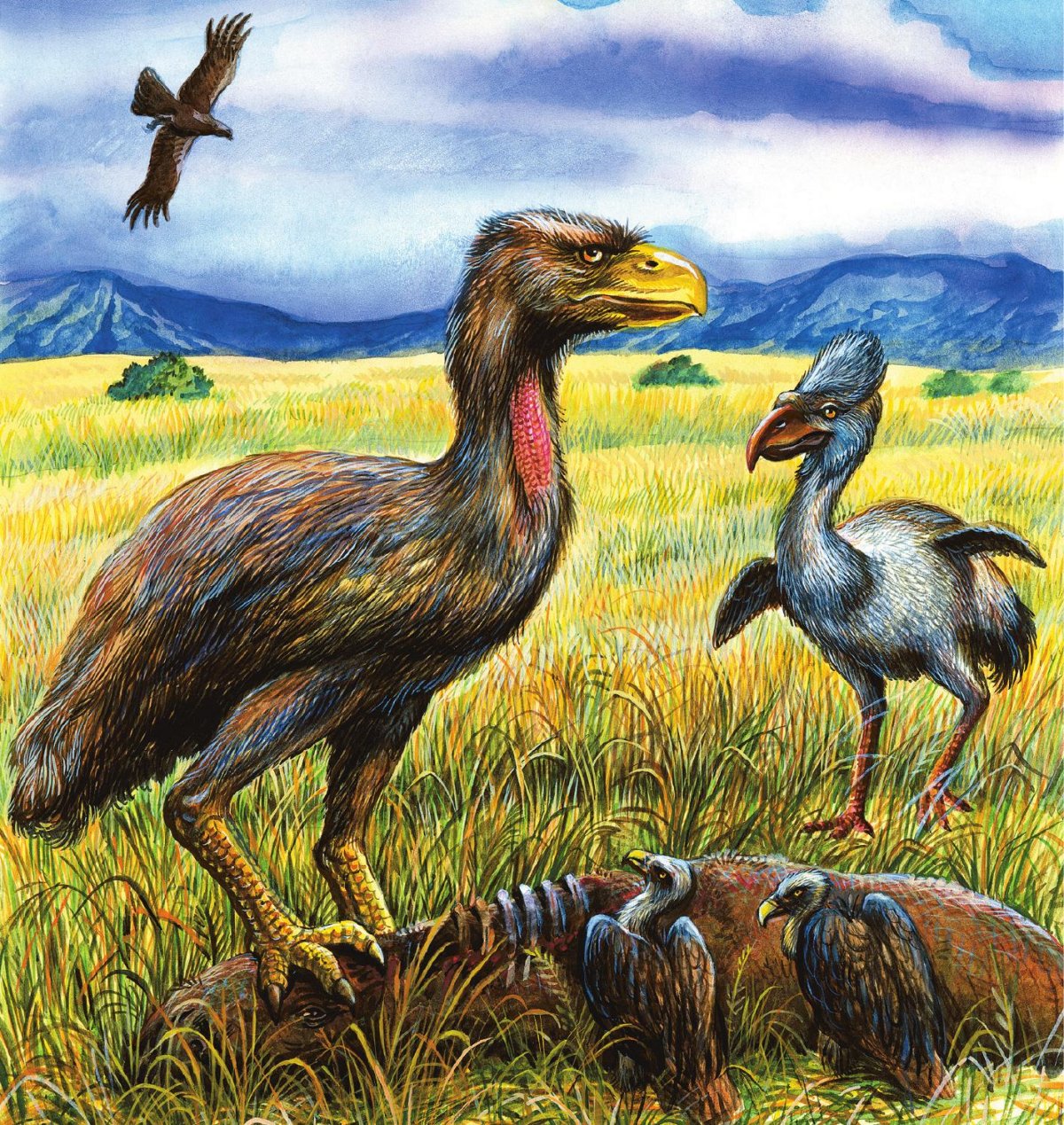 Теропод ДАКОТАРАПТОР