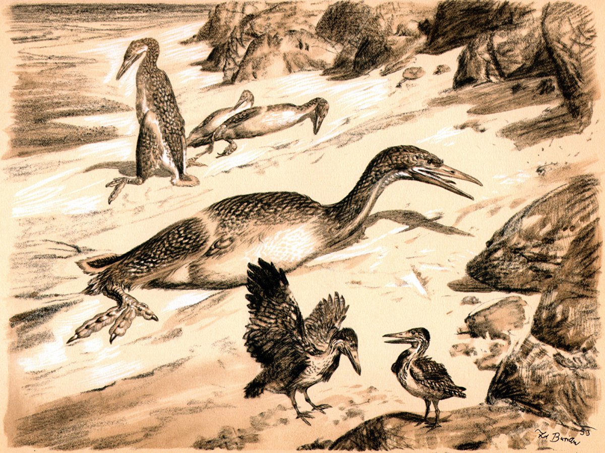 Микрораптор динозавр