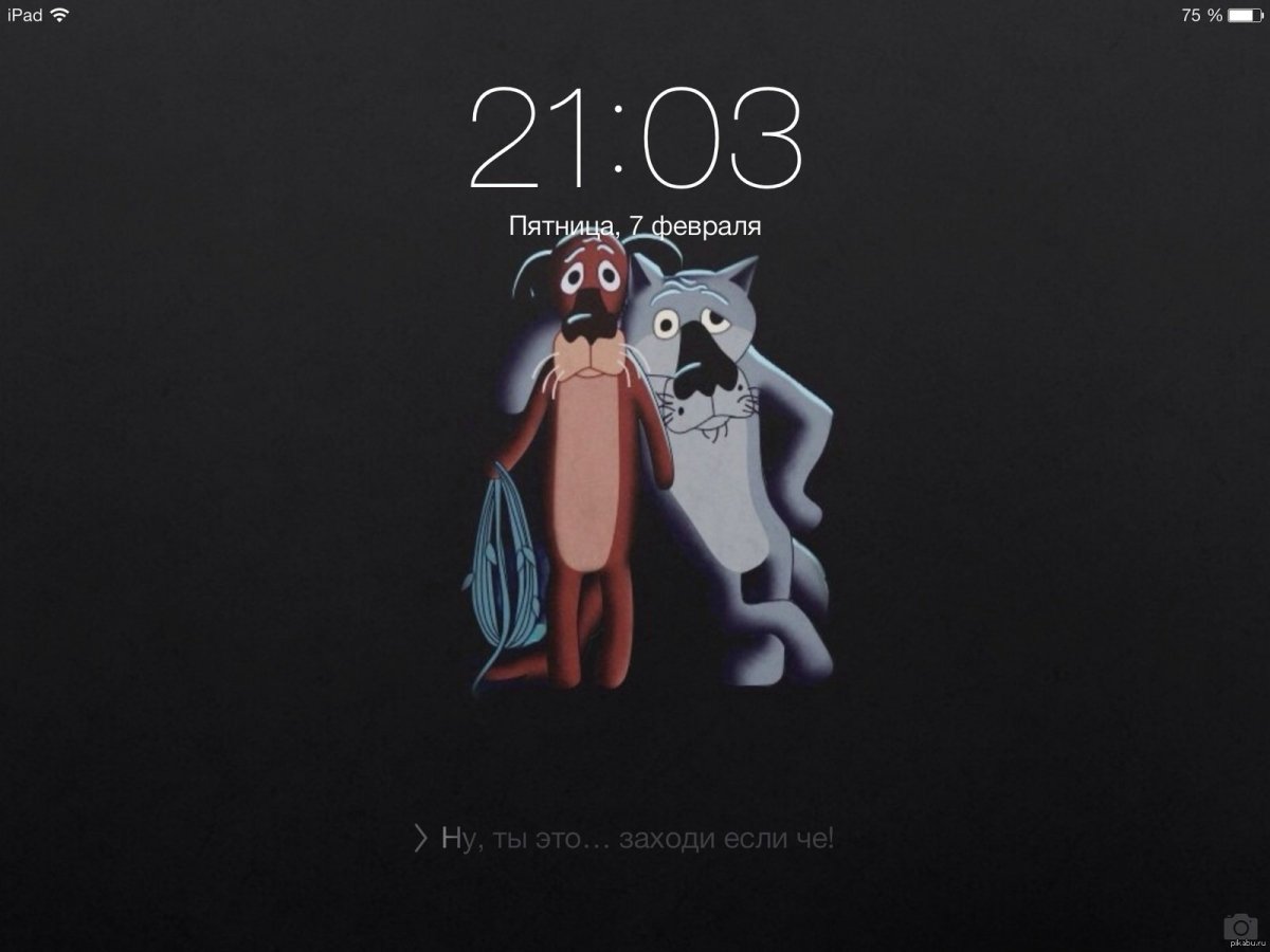 Жил-был пёс