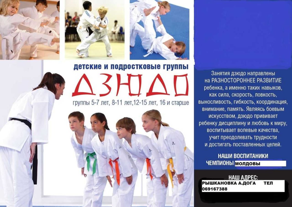 Самбо дзюдо