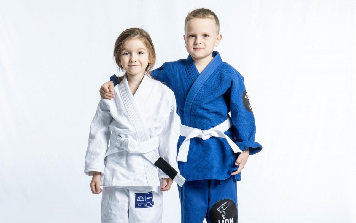 Джиу джитсу бросок