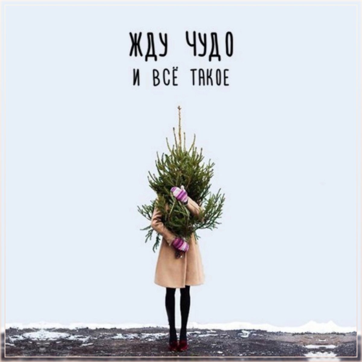 Цитаты про новый год