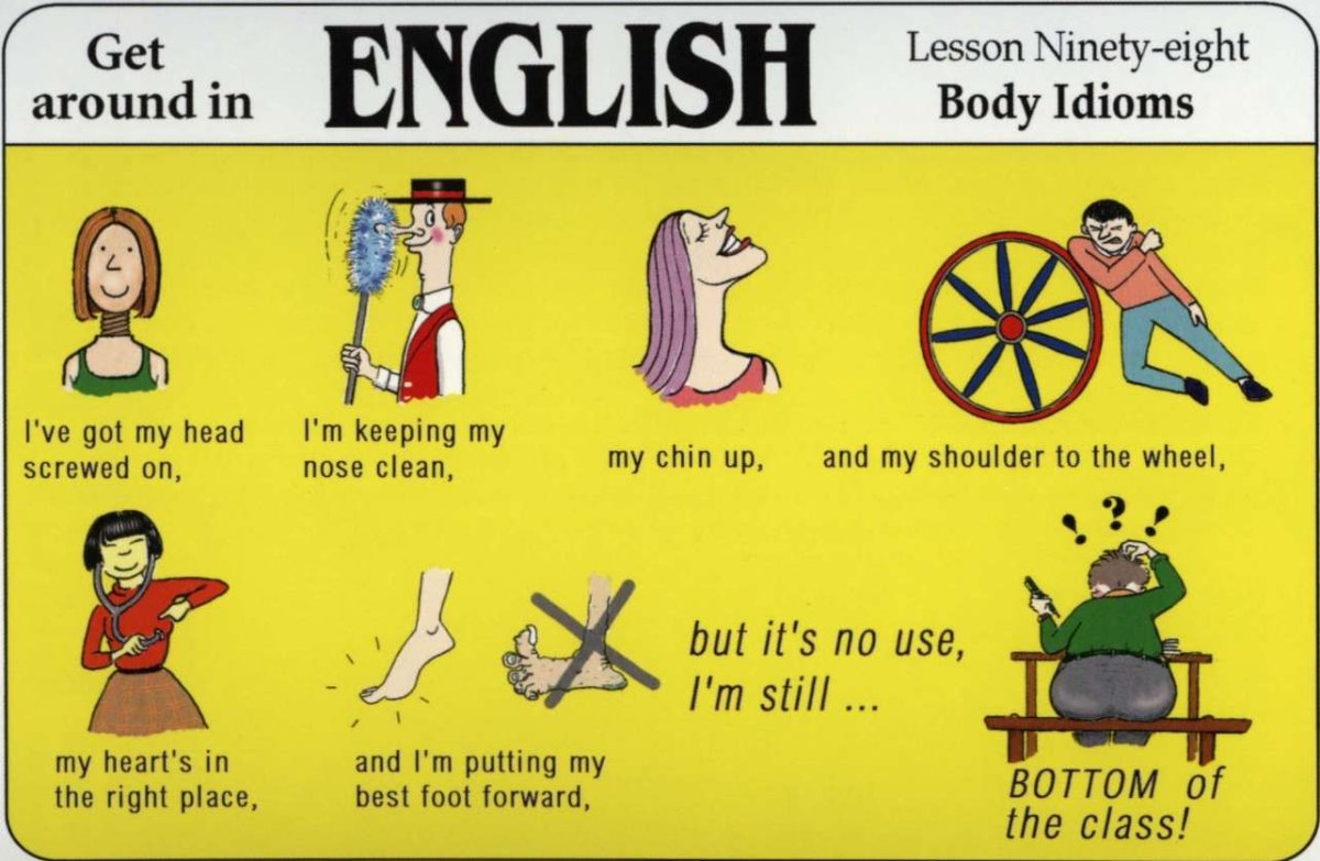 Идиомы английского языка в картинках