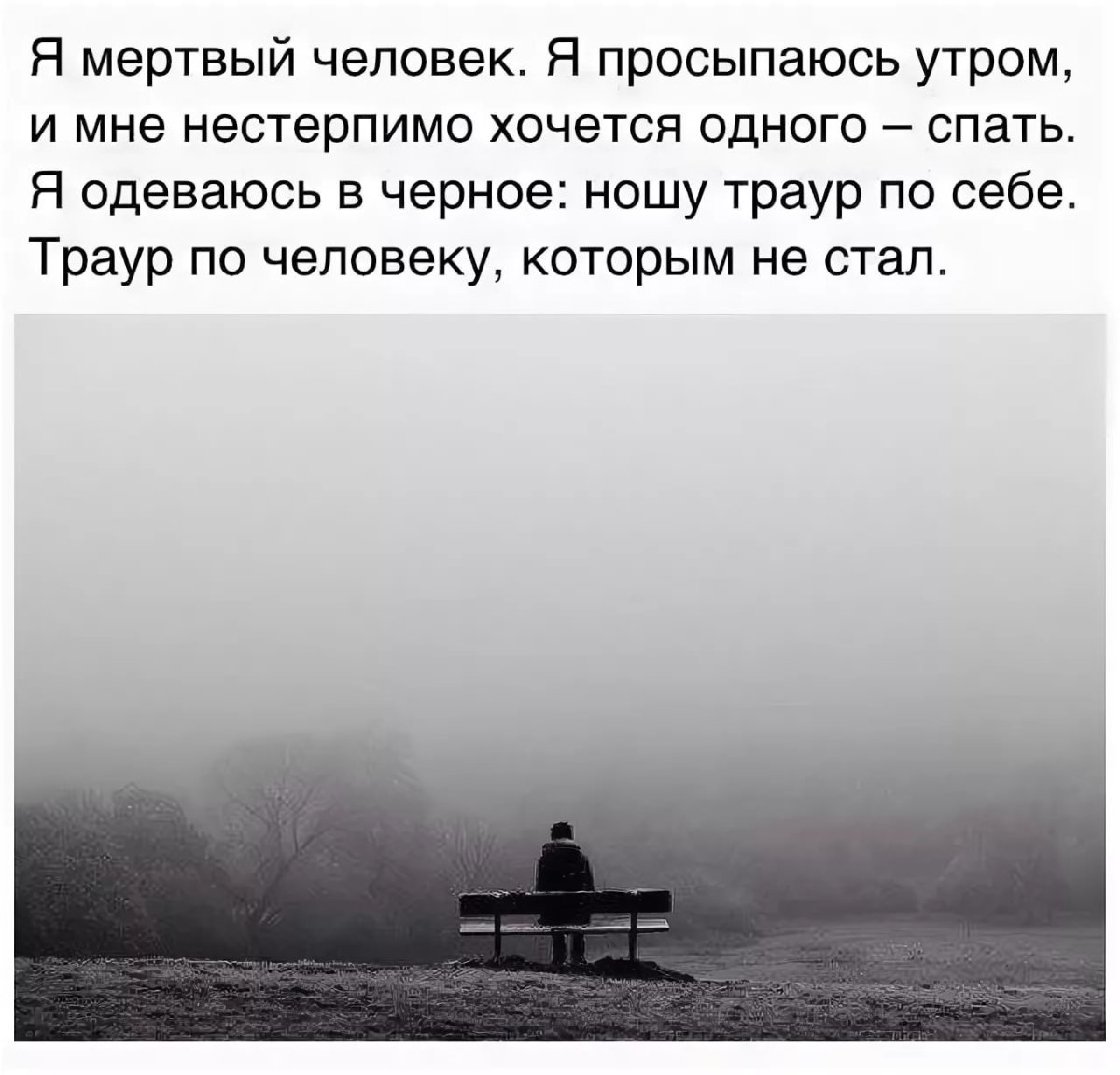 Спокойствие мудрость