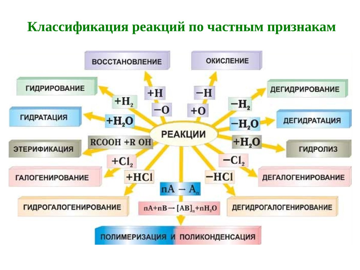 Типы и механизмы химических реакций в органической химии