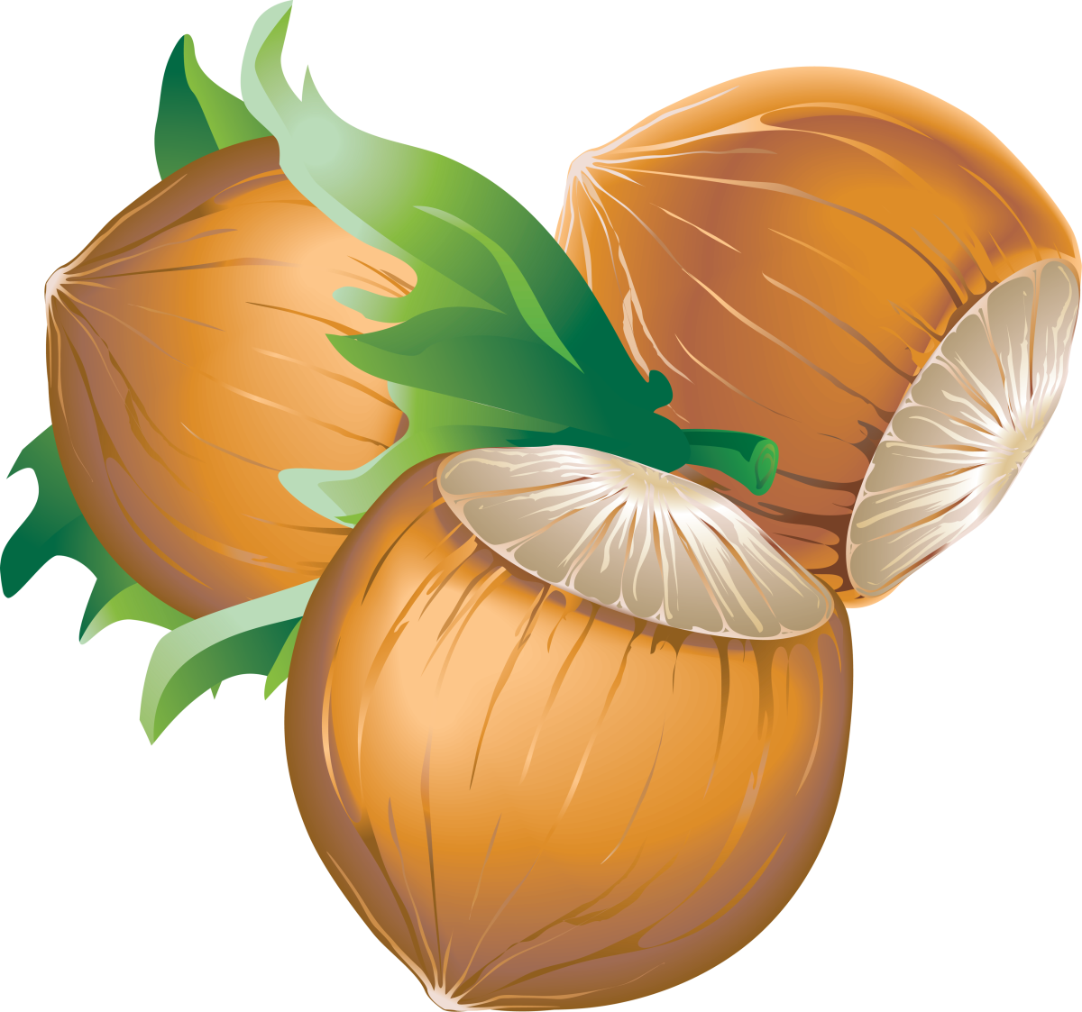 Орех мультяшный