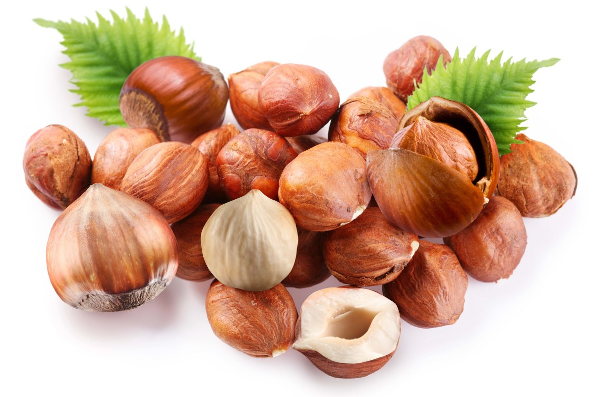 Лесной орех (Hazelnut)