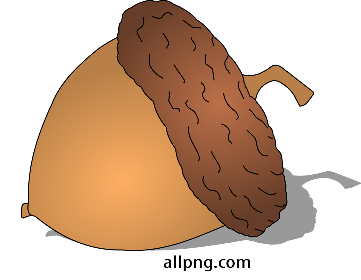 Лесной орех рисунок для детей