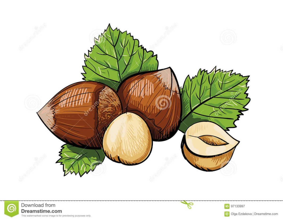 Фундук мультяшный