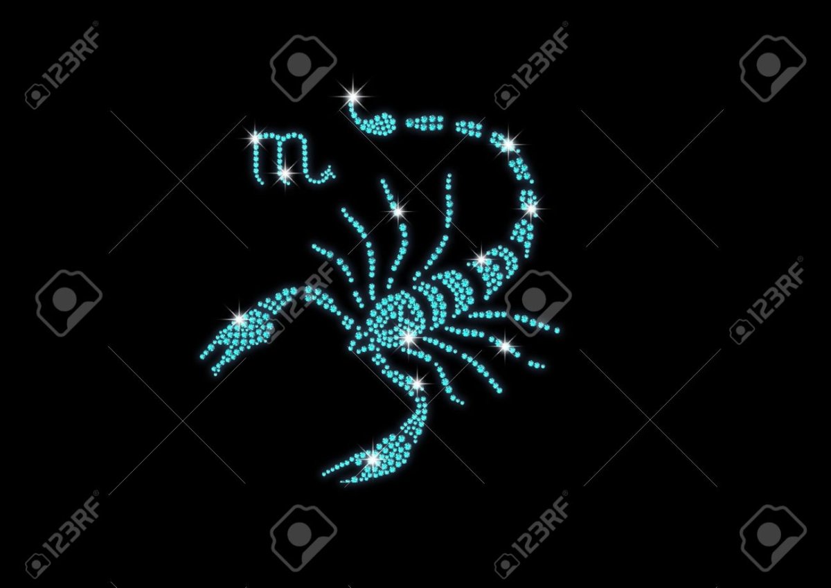 Скорпион яркий