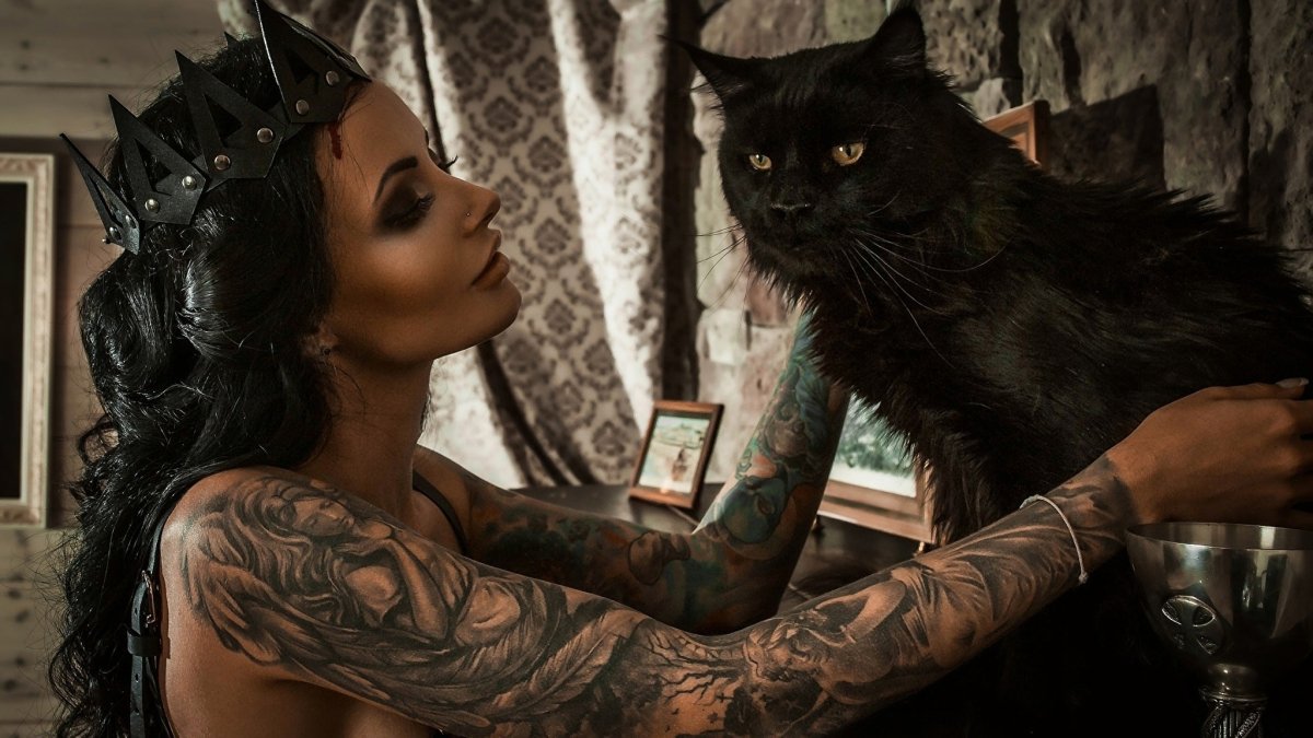 Черный кот картинки