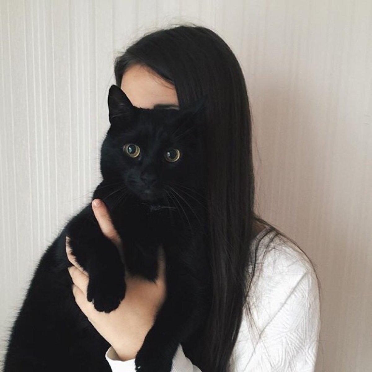 Девушка с котом Эстетика