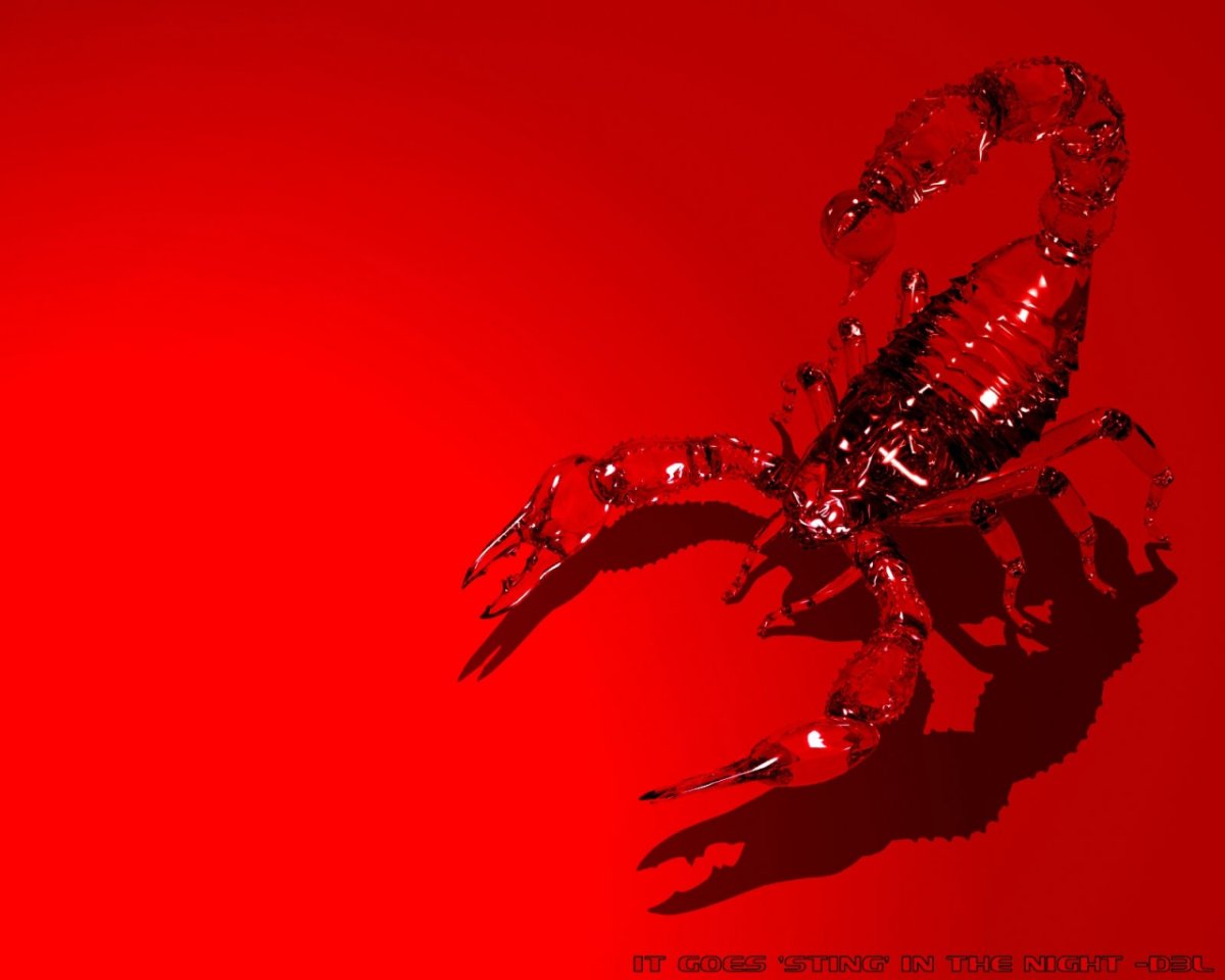 Скорпион знак зодиака картинки