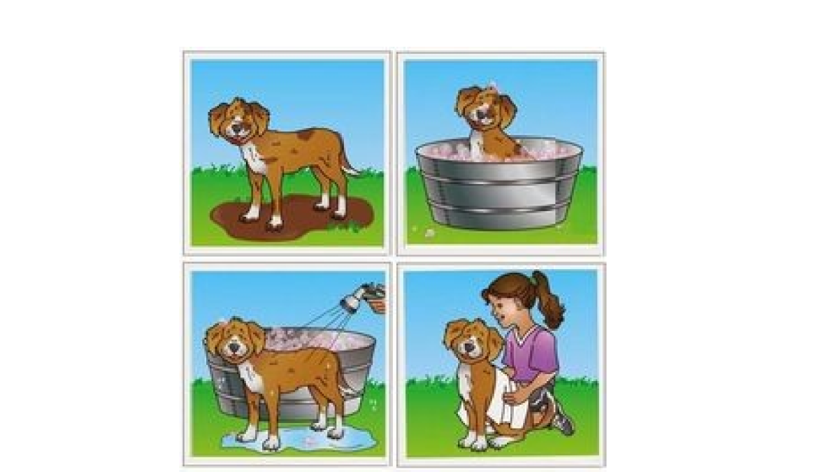 Сюжетные картинки для рассказа