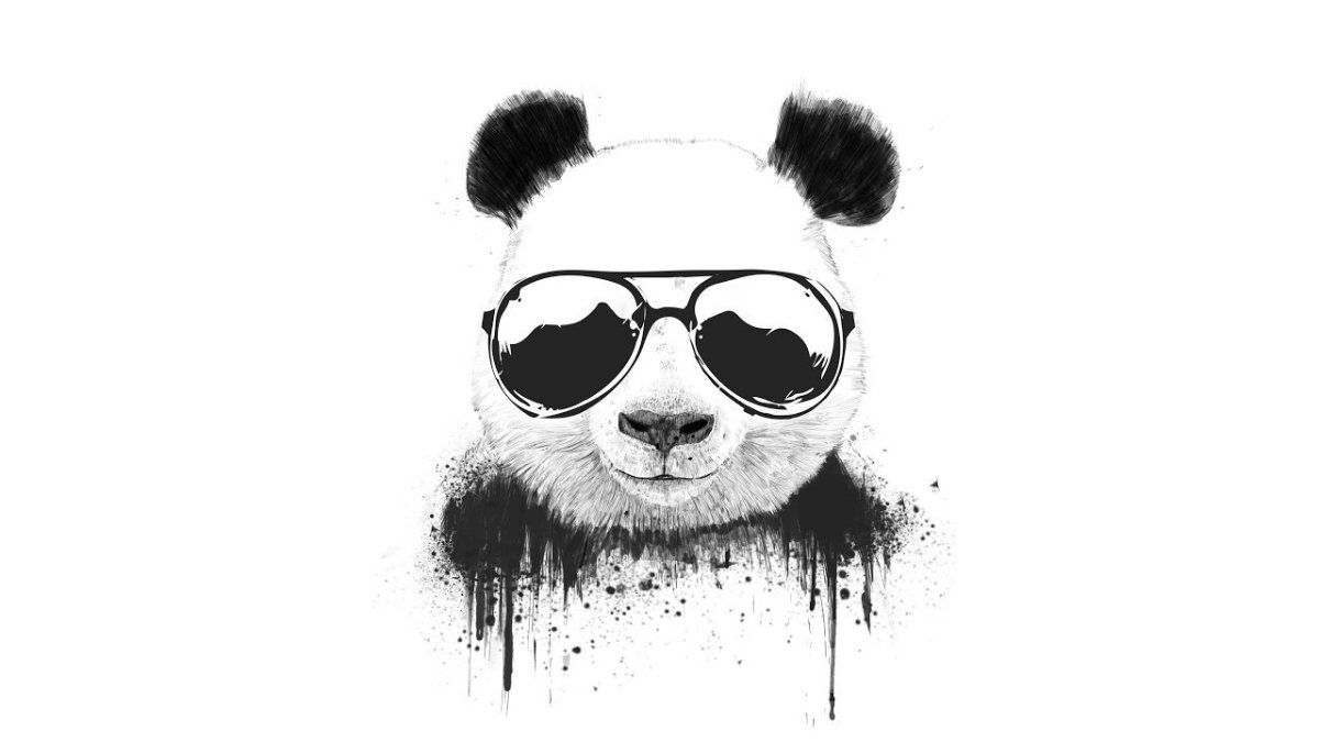 Собака пилот