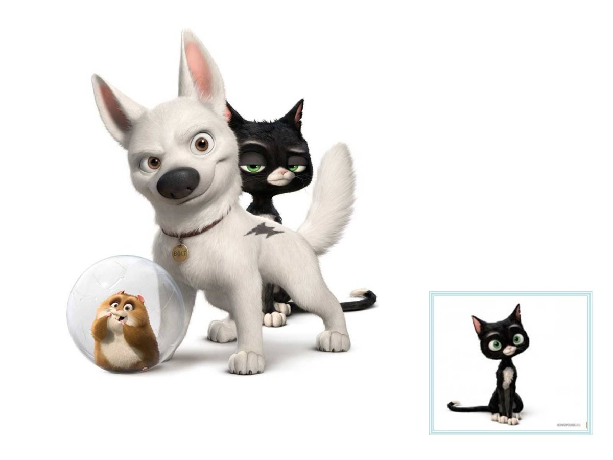 Герои мультика вольт