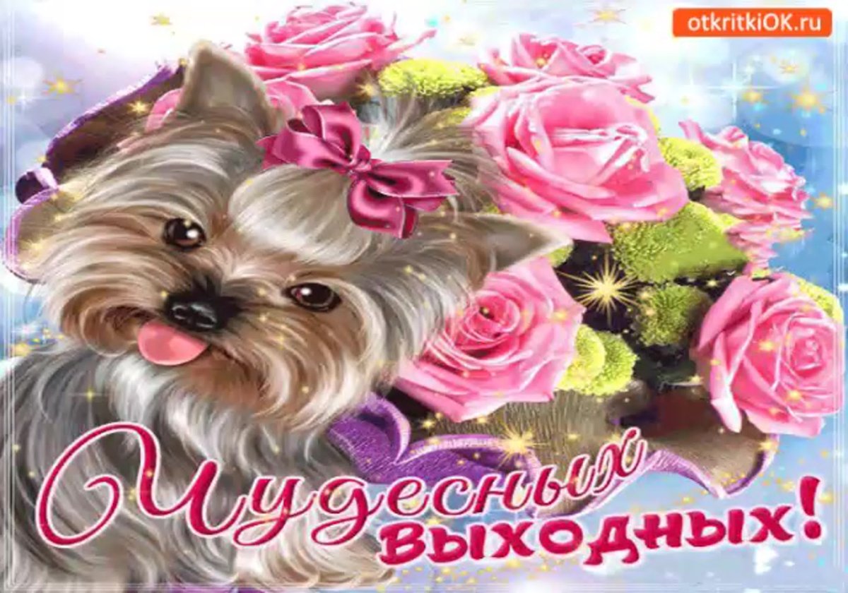 Открытка хорошей субботы