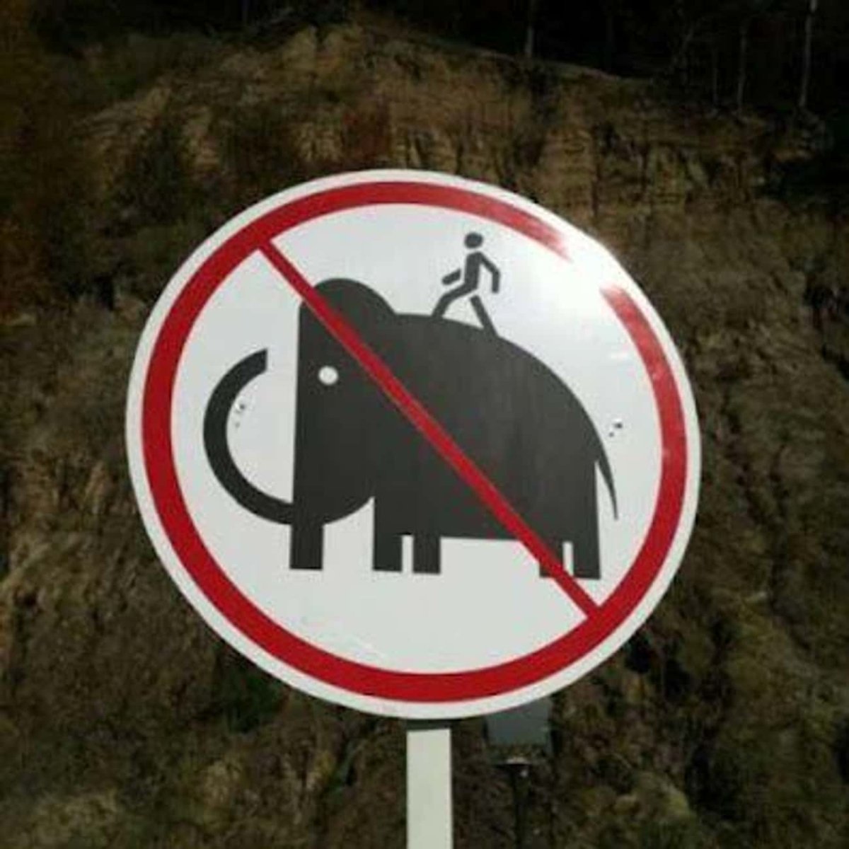 Капец картинки прикольные