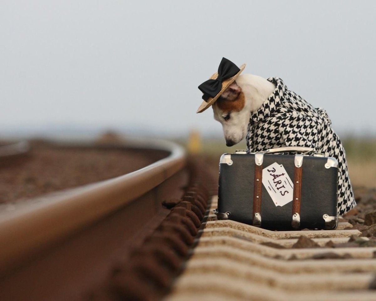 Вредная девочка