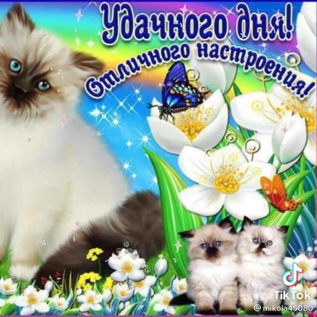 Открытки удачного дня