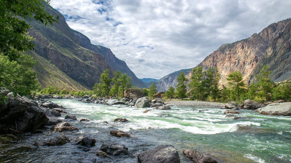 Алтай Катунь