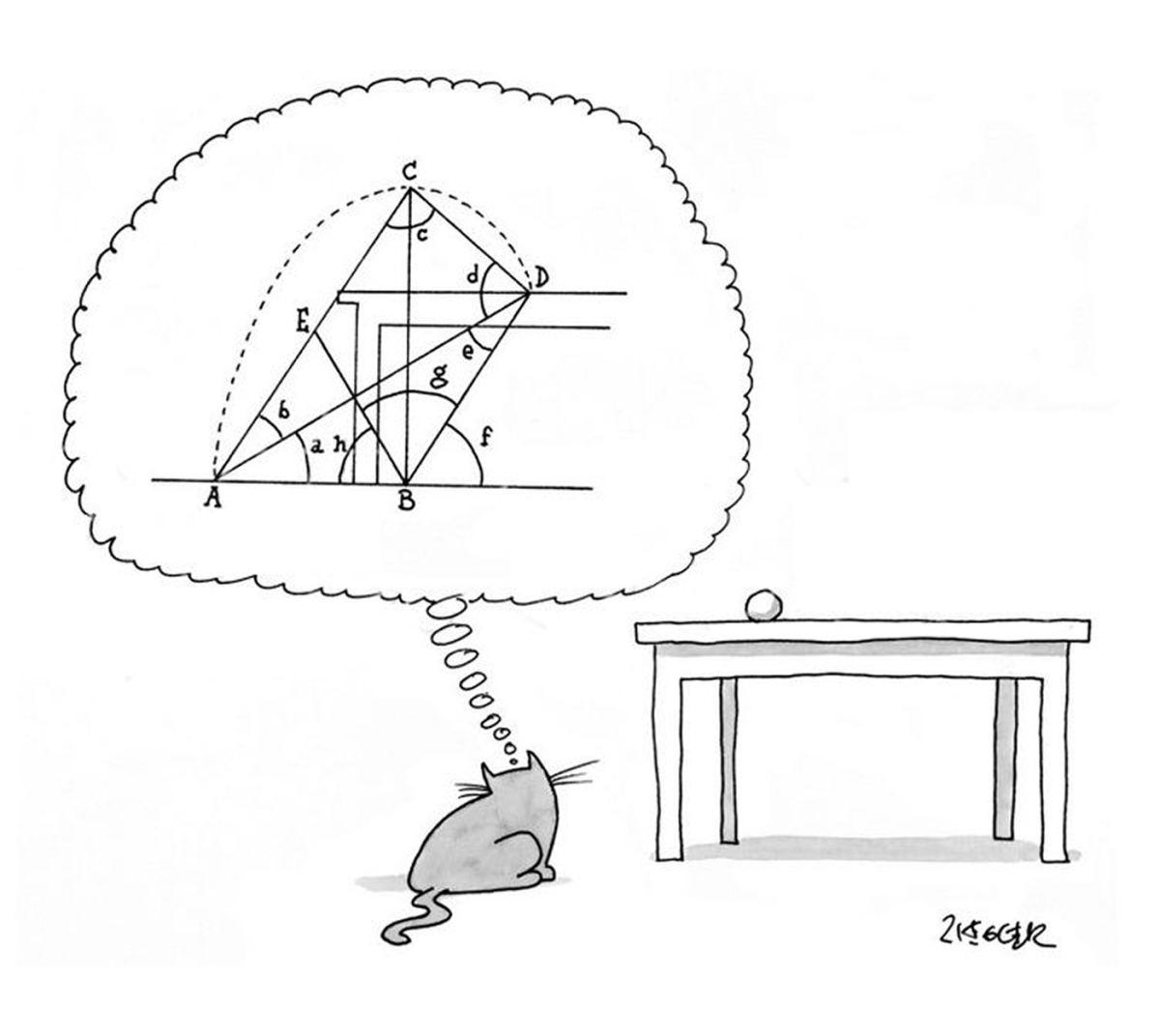 Кошка перед прыжком