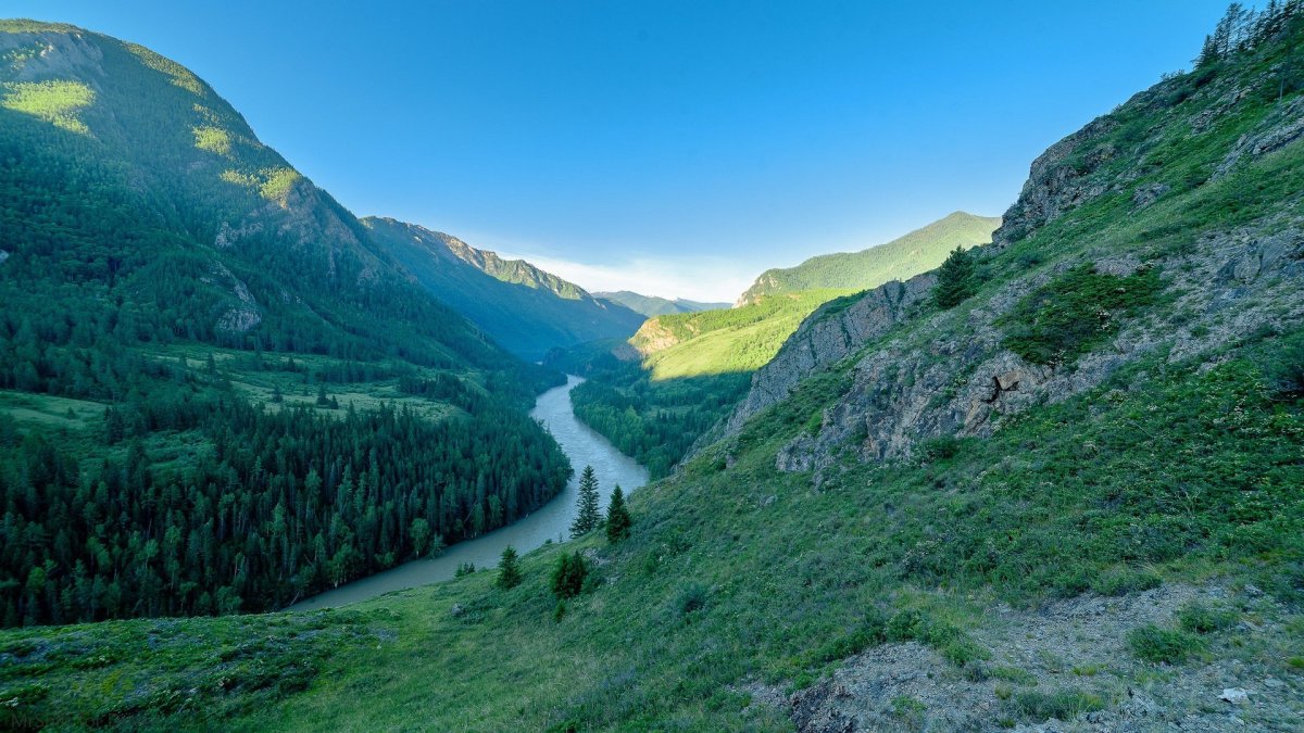 Гора Аргут Алтайский край