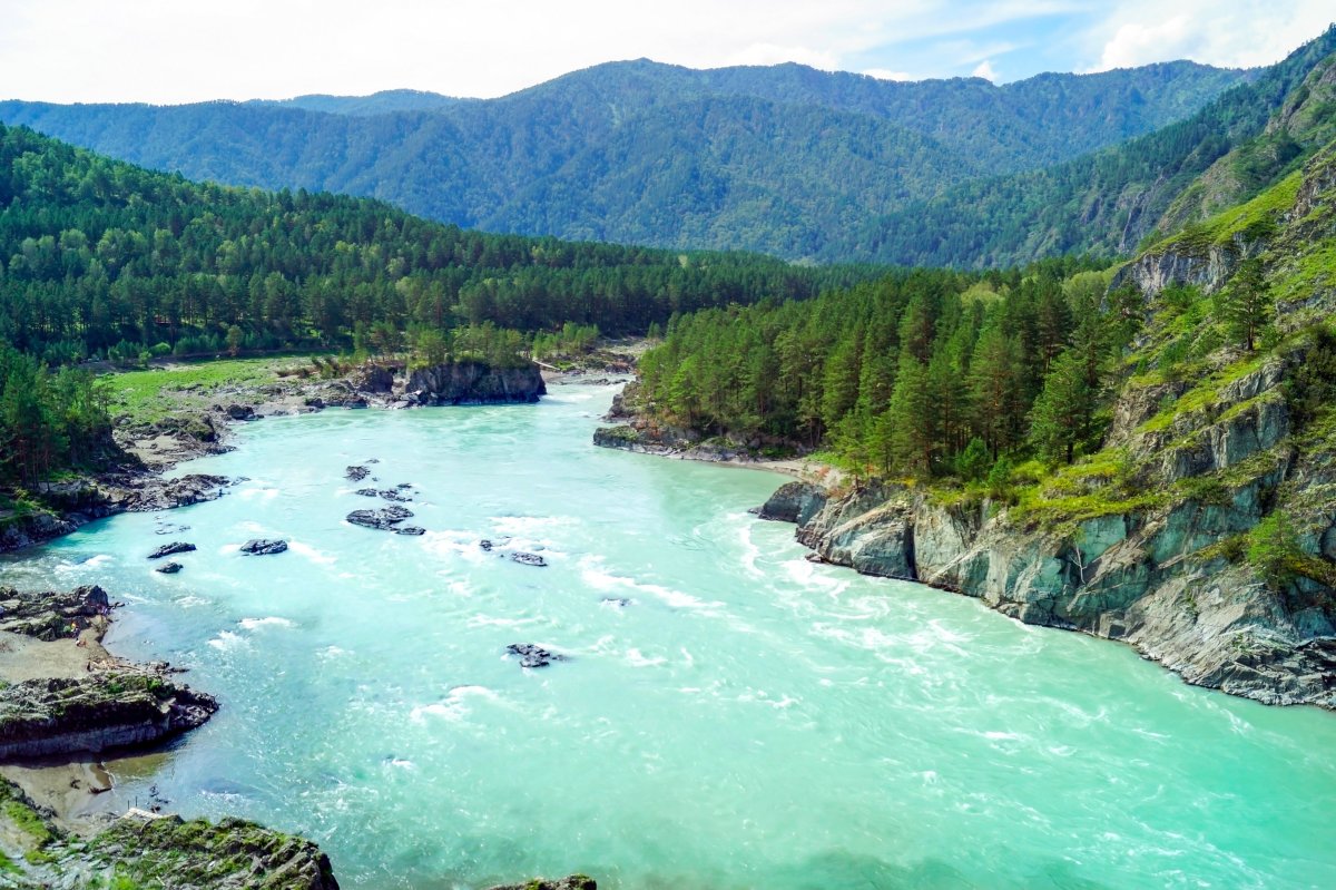 Природа горного Алтая река Катунь