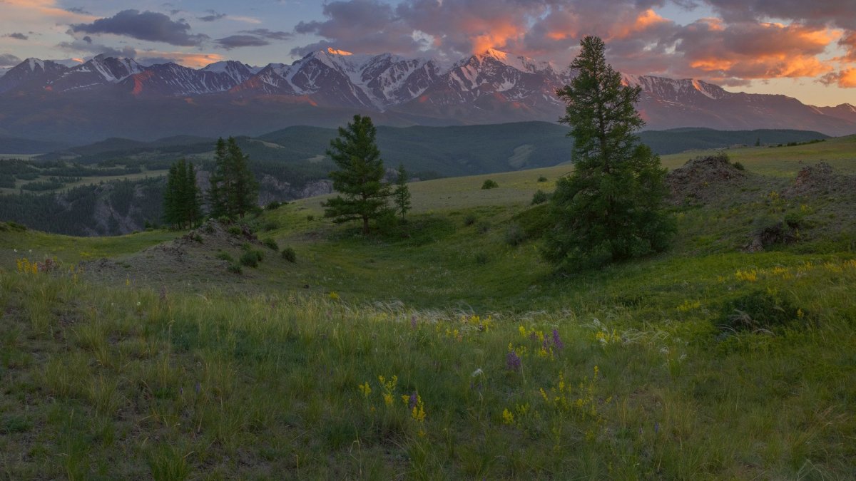 Горный Алтай 1920