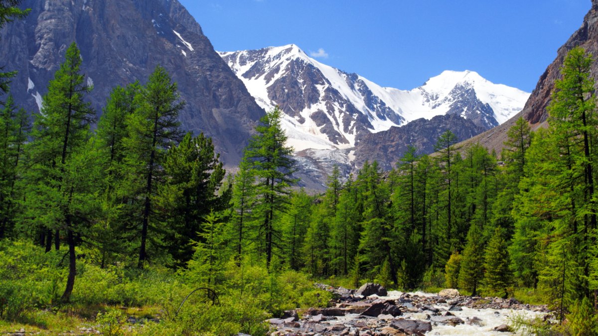 Природа горного Алтая